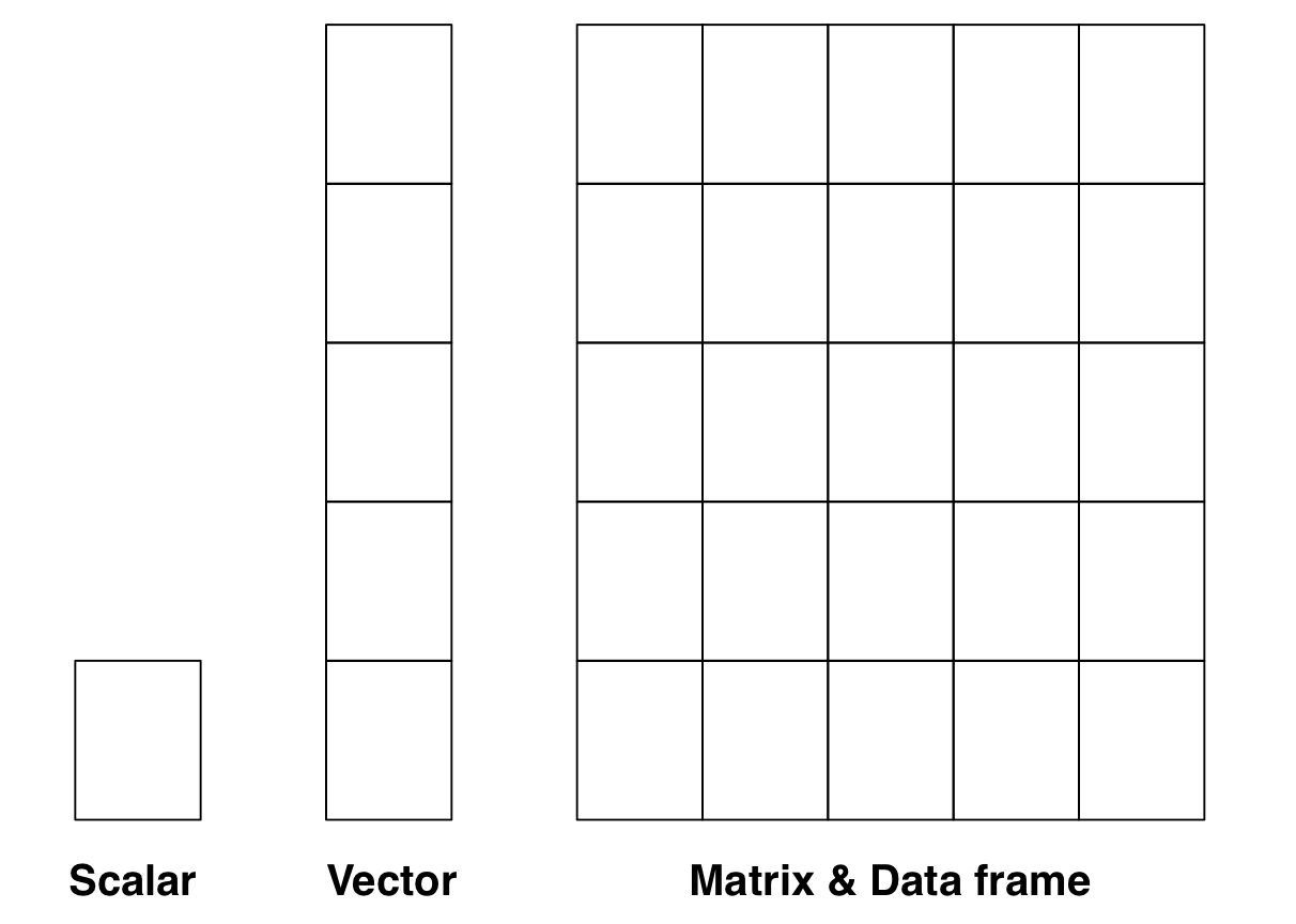 R objects
