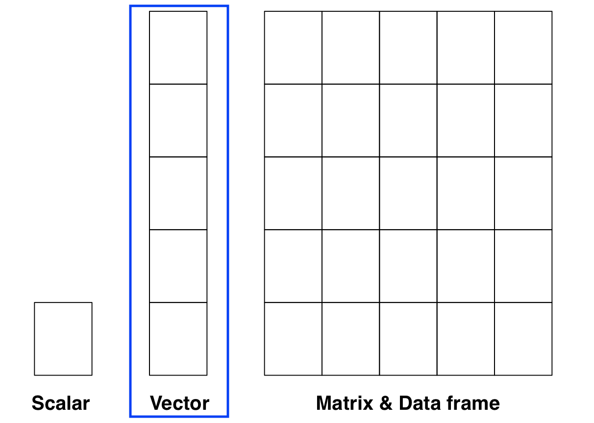 R objects