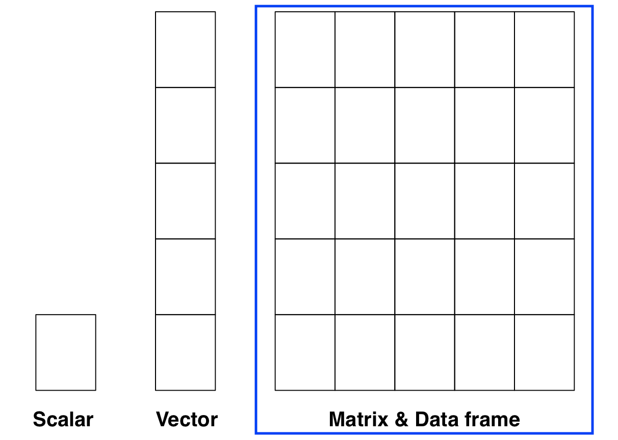 R objects